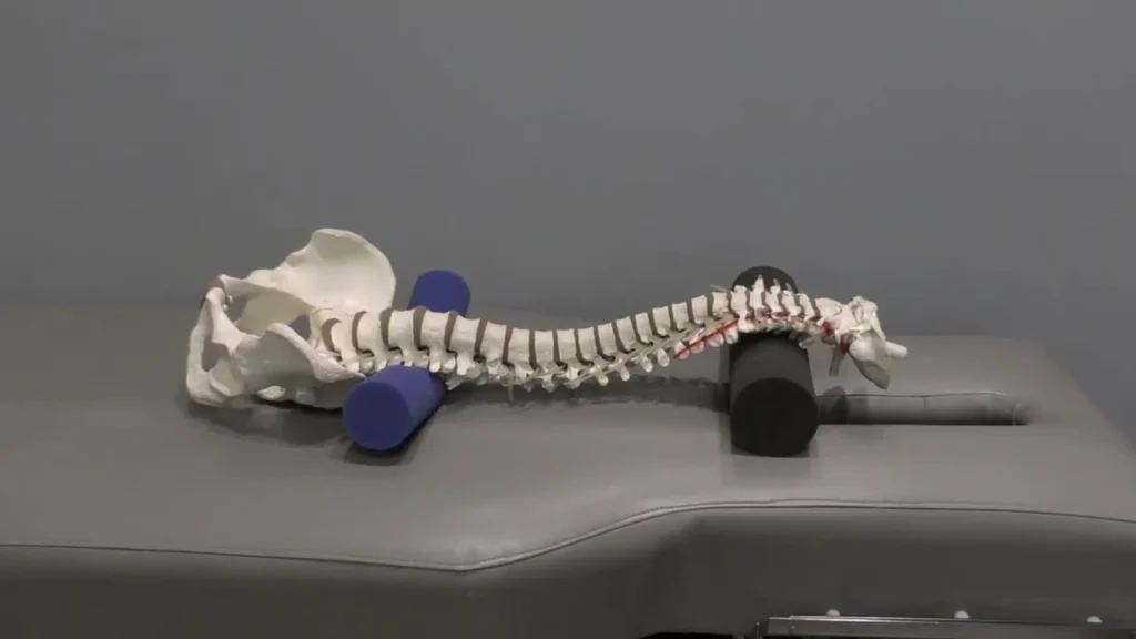 Intro Spinal Re-engineering